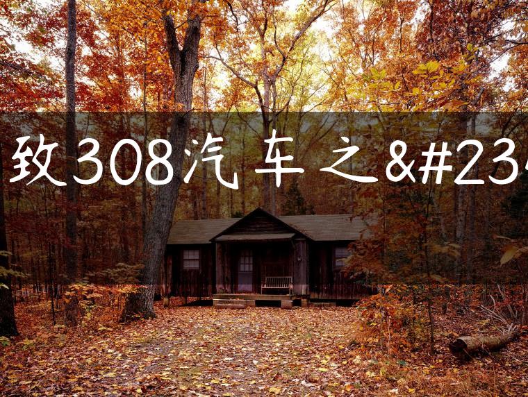 标致308汽车之家