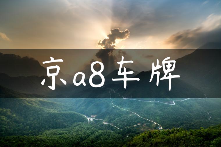 京a8车牌-金牌车友