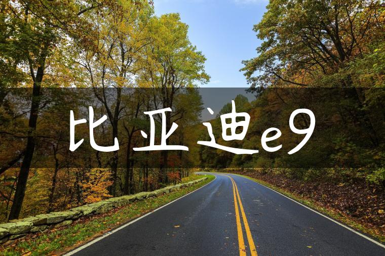 比亚迪e9