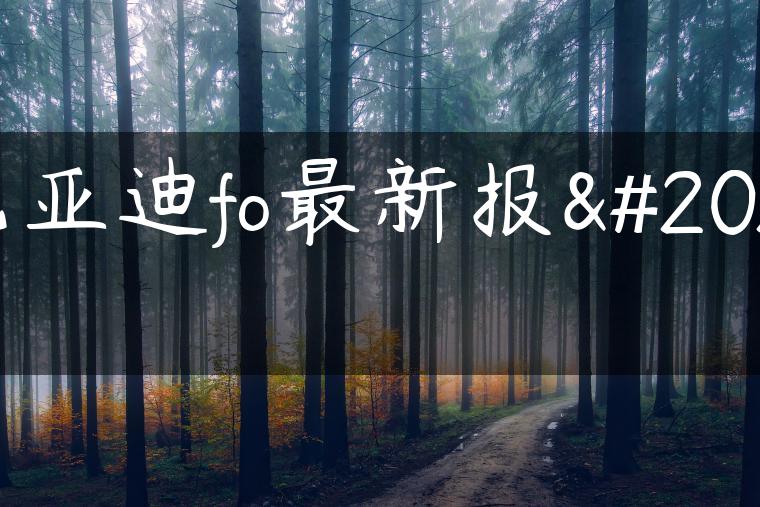 比亚迪fo最新报价