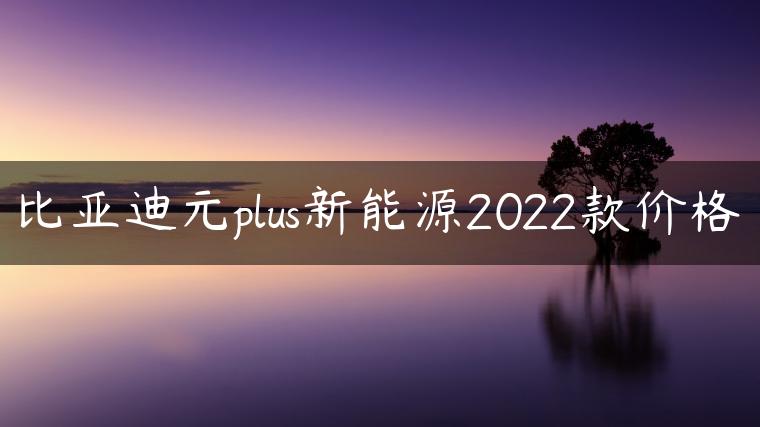 比亚迪元plus新能源2022款价格
