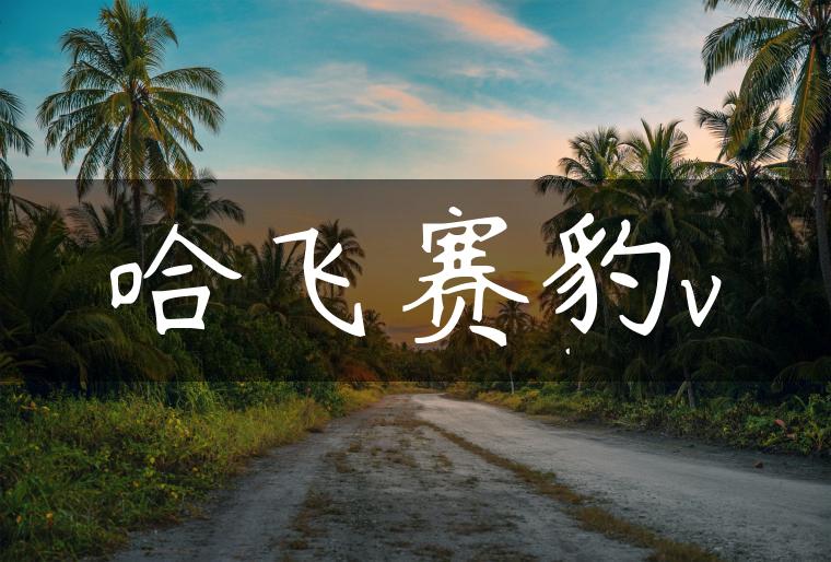 哈飞赛豹v