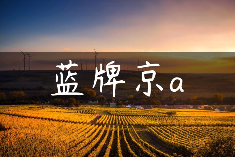 蓝牌京a