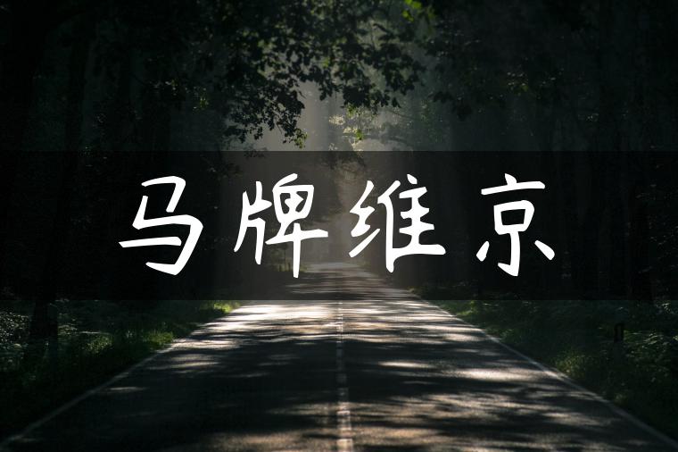 马牌维京