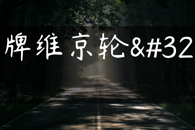 马牌维京轮胎