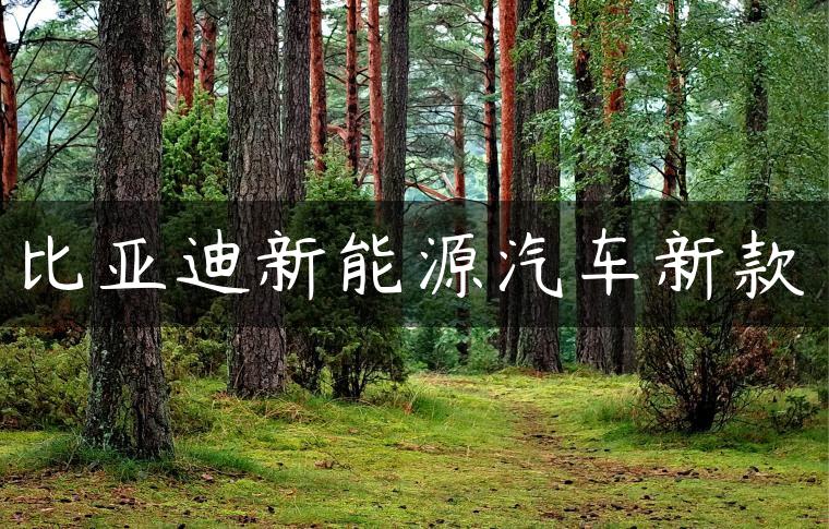 比亚迪新能源汽车新款