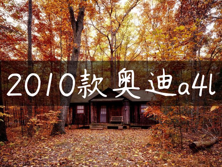 2010款奥迪a4l