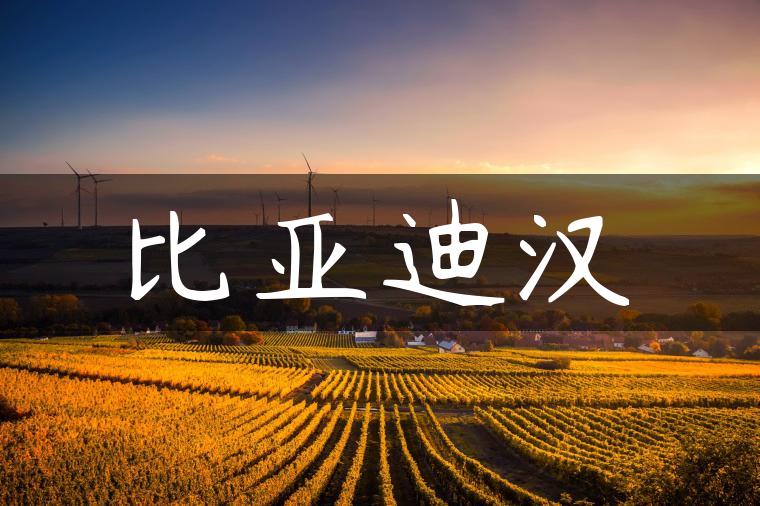 比亚迪汉