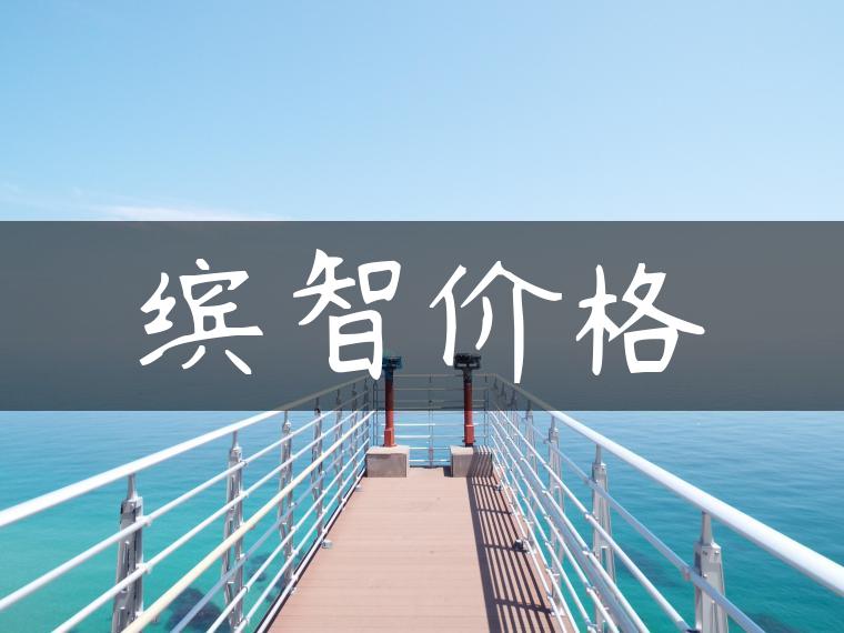 缤智价格