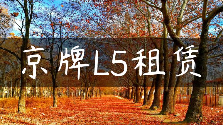 京牌L5租赁