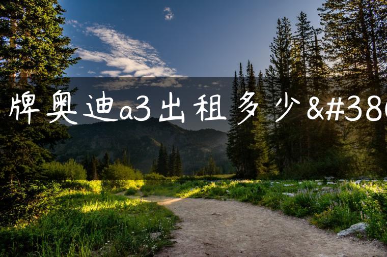 京牌奥迪a3出租多少钱
