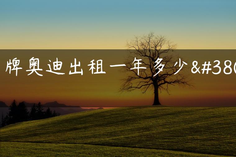 京牌奥迪出租一年多少钱
