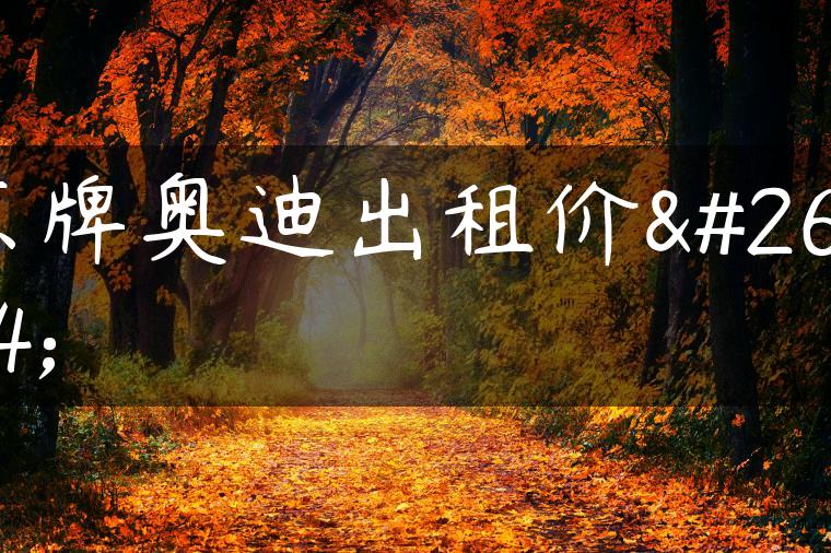 京牌奥迪出租价格