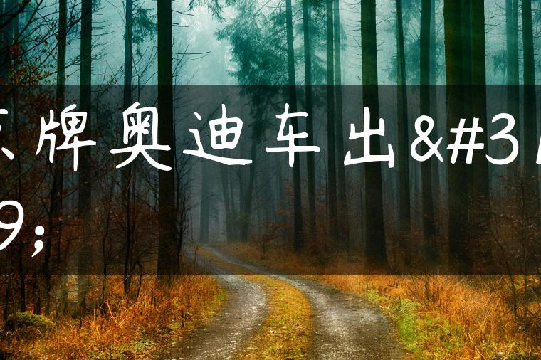 京牌奥迪车出租-金牌车友
