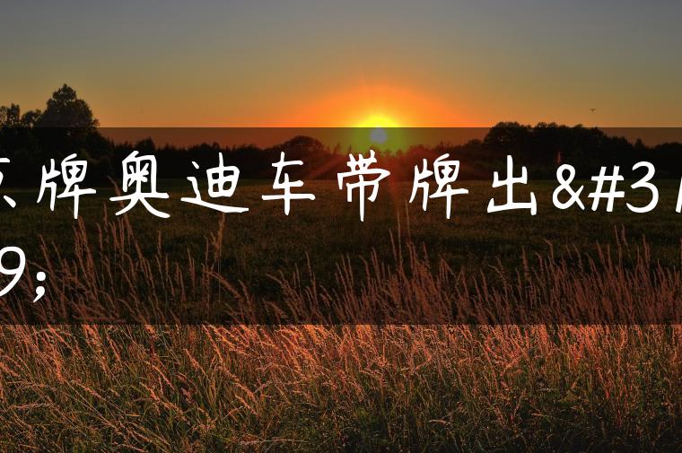 京牌奥迪车带牌出租