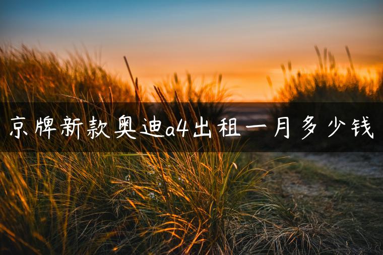 京牌新款奥迪a4出租一月多少钱