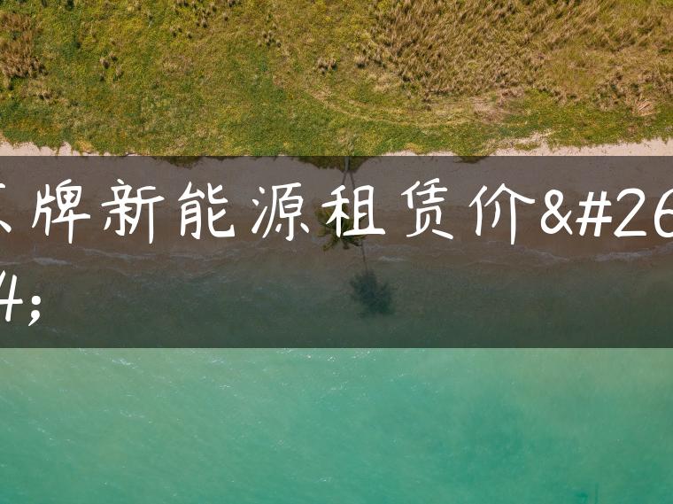 京牌新能源租赁价格