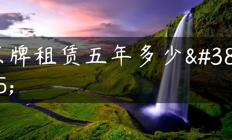 京牌租赁五年多少钱-金牌车友
