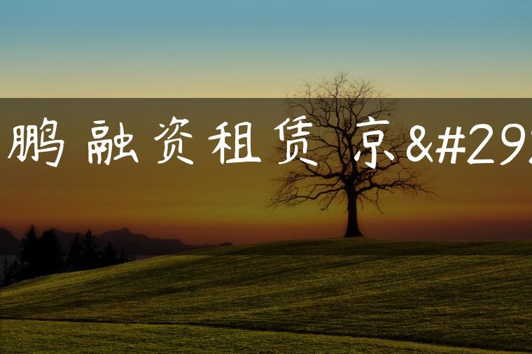 小鹏 融资租赁 京牌