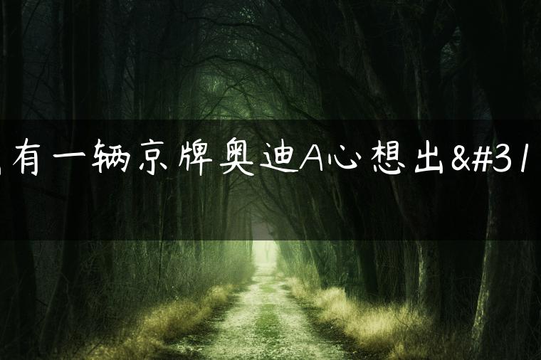 我有一辆京牌奥迪A心想出租