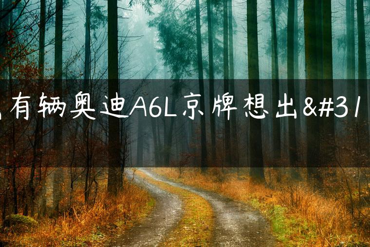 我有辆奥迪A6L京牌想出租