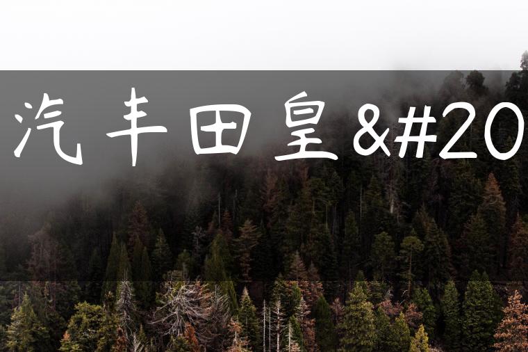 一汽丰田皇冠-金牌车友