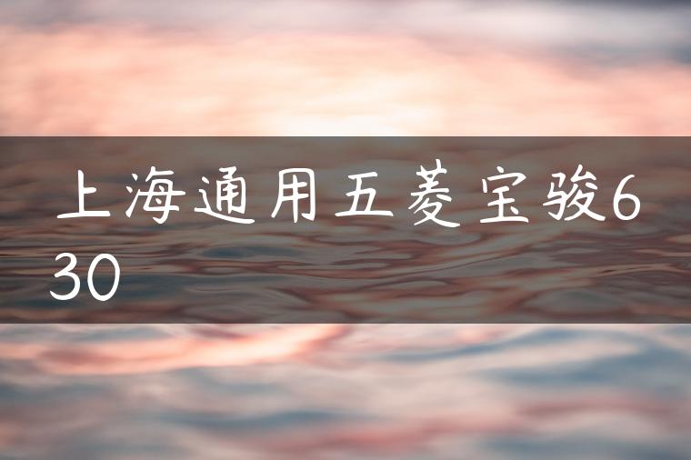 上海通用五菱宝骏630