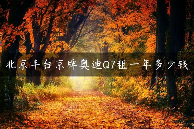 北京丰台京牌奥迪Q7租一年多少钱