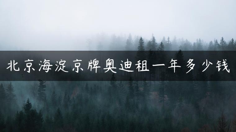 北京海淀京牌奥迪租一年多少钱