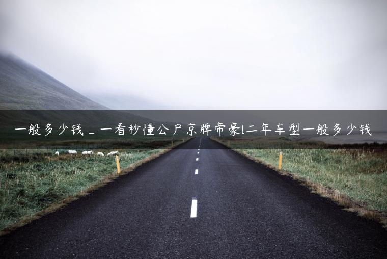 一般多少钱_一看秒懂公户京牌帝豪l二年车型一般多少钱