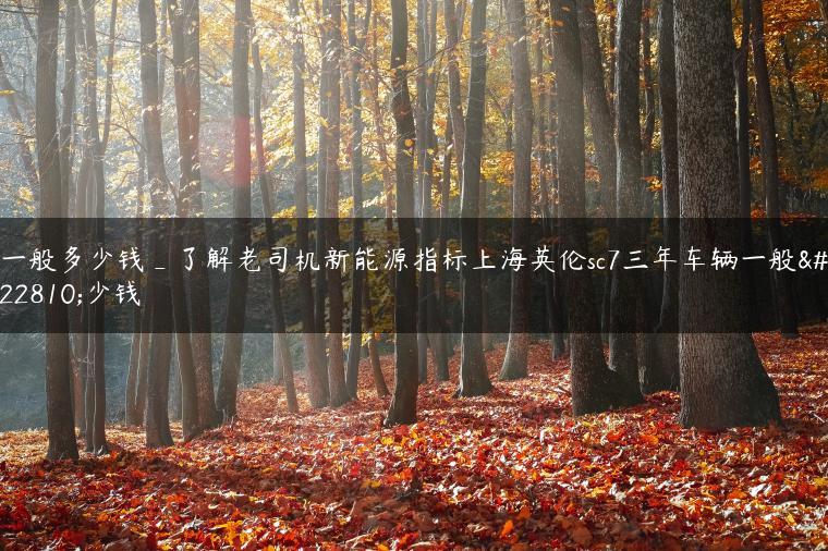 一般多少钱_了解老司机新能源指标上海英伦sc7三年车辆一般多少钱