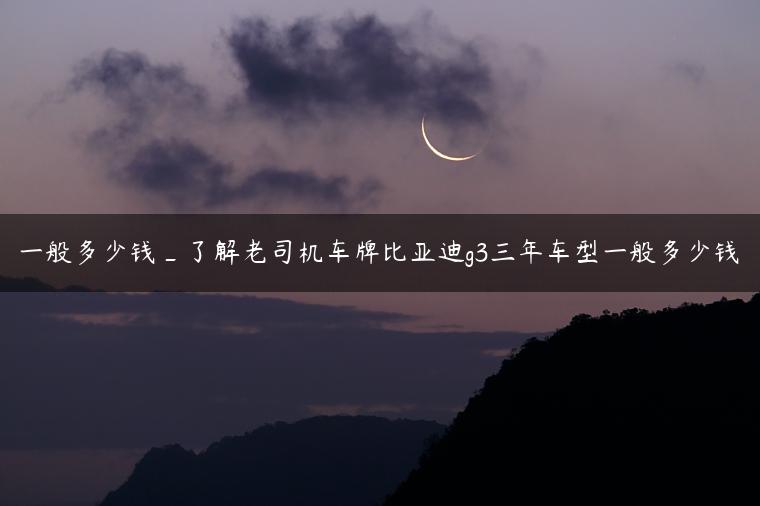 一般多少钱_了解老司机车牌比亚迪g3三年车型一般多少钱