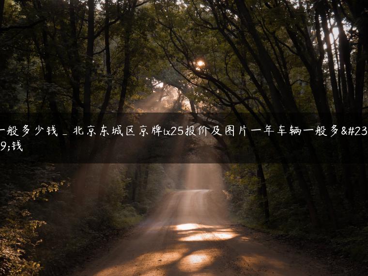 一般多少钱_北京东城区京牌ix25报价及图片一年车辆一般多少钱