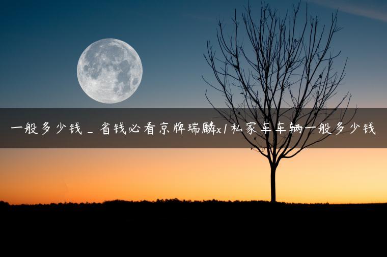 一般多少钱_省钱必看京牌瑞麟x1私家车车辆一般多少钱