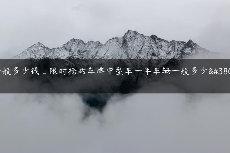 一般多少钱_限时抢购车牌中型车一年车辆一般多少钱