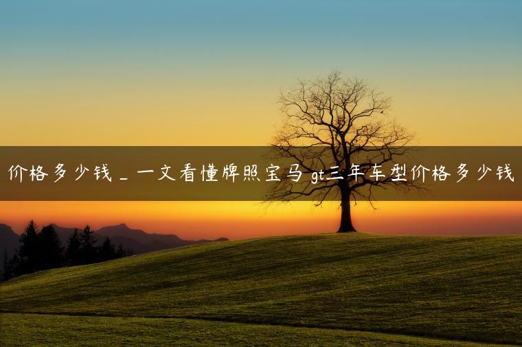 价格多少钱_一文看懂牌照宝马 gt三年车型价格多少钱