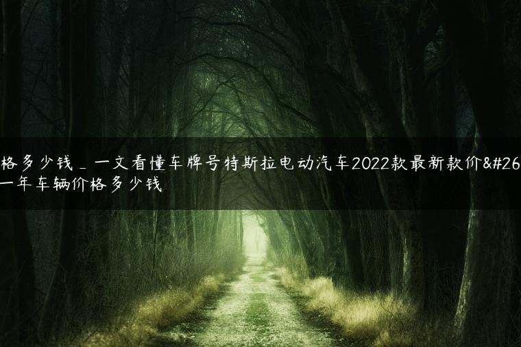价格多少钱_一文看懂车牌号特斯拉电动汽车2022款最新款价格一年车辆价格多少钱