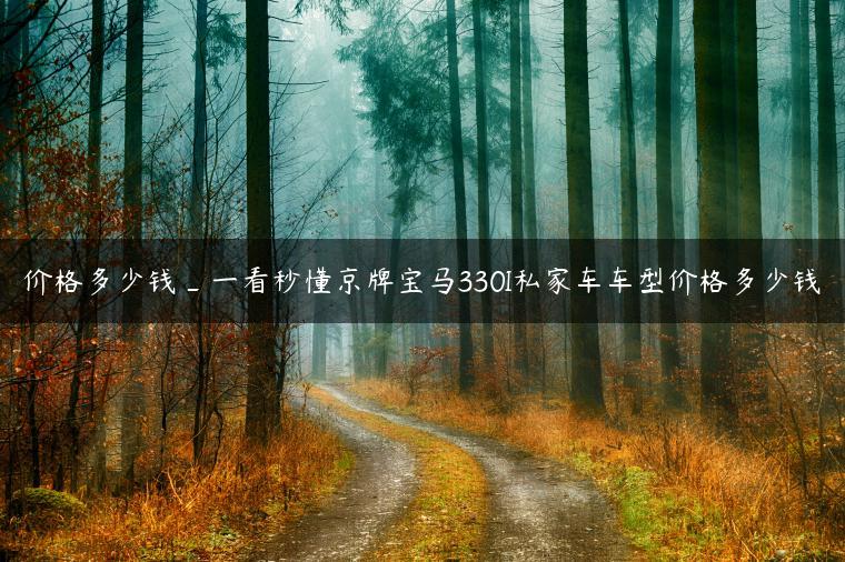 价格多少钱_一看秒懂京牌宝马330I私家车车型价格多少钱