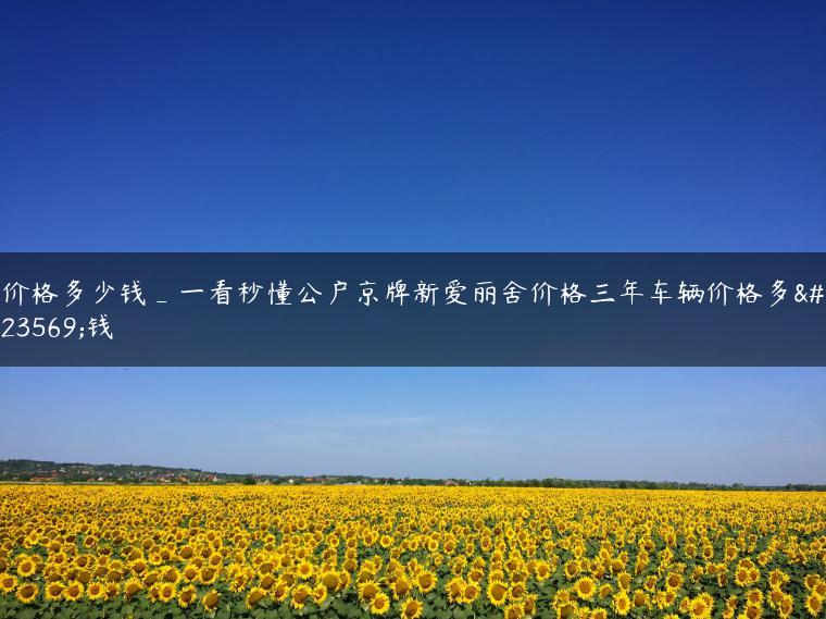 价格多少钱_一看秒懂公户京牌新爱丽舍价格三年车辆价格多少钱