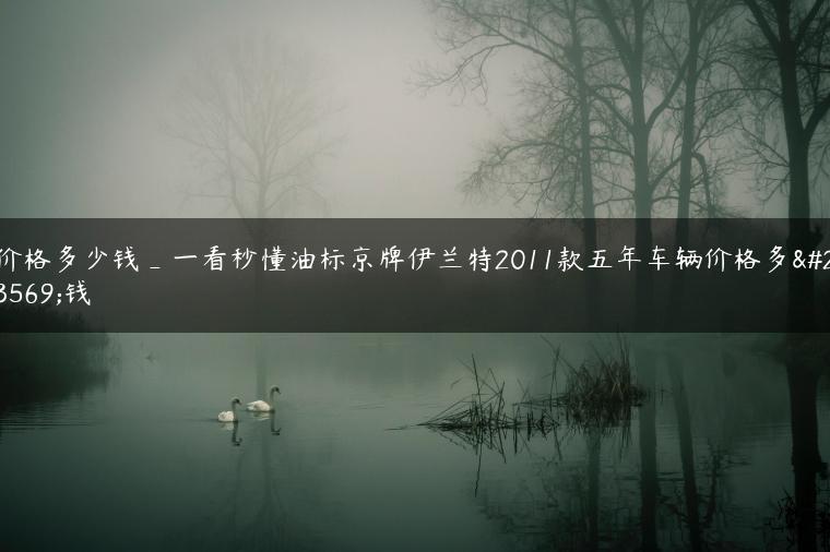 价格多少钱_一看秒懂油标京牌伊兰特2011款五年车辆价格多少钱