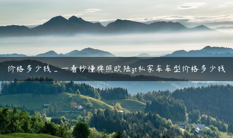 价格多少钱_一看秒懂牌照欧陆gt私家车车型价格多少钱