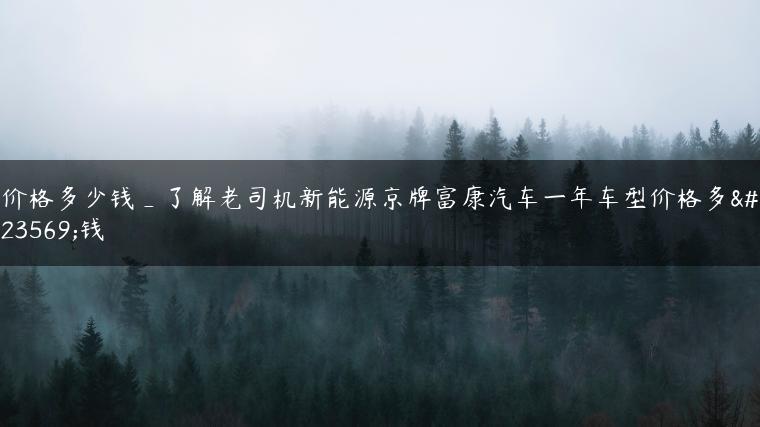 价格多少钱_了解老司机新能源京牌富康汽车一年车型价格多少钱