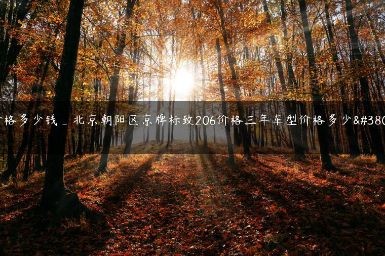 价格多少钱_北京朝阳区京牌标致206价格三年车型价格多少钱