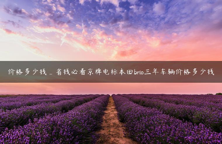 价格多少钱_省钱必看京牌电标本田brio三年车辆价格多少钱