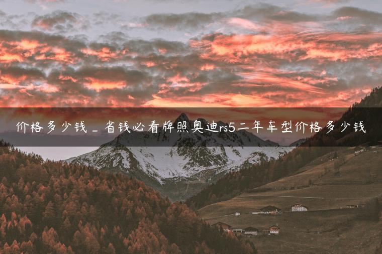 价格多少钱_省钱必看牌照奥迪rs5二年车型价格多少钱