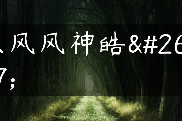 东风风神皓极
