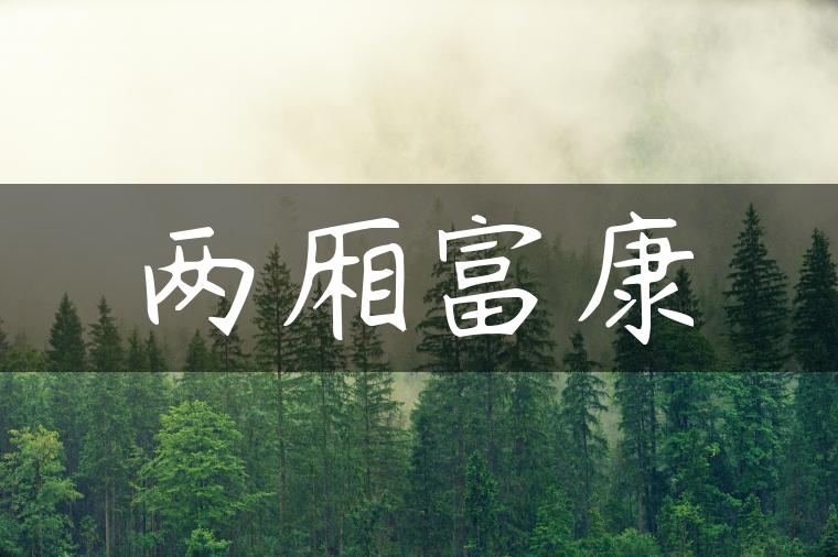 两厢富康