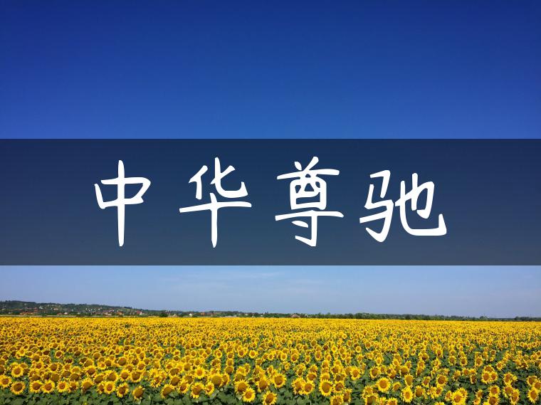 中华尊驰