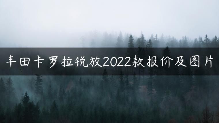 丰田卡罗拉锐放2022款报价及图片