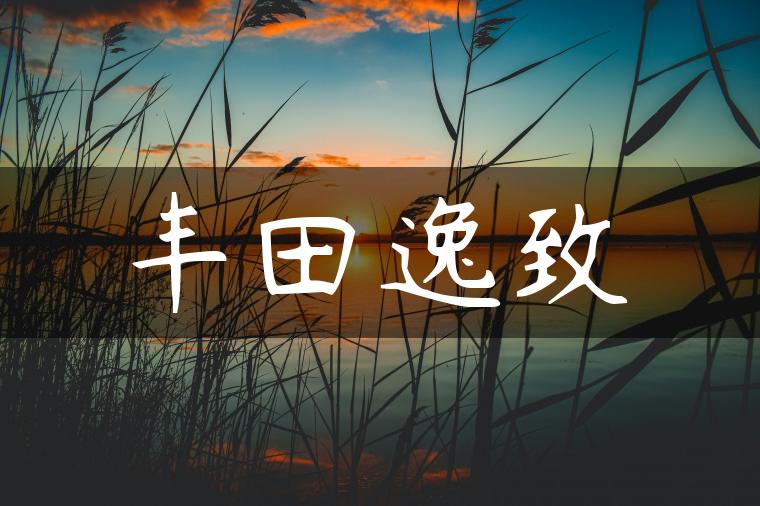 丰田逸致